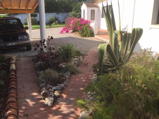 Casa Mimosa Bed and Breakfast São Brás de Alportel Buitenkant foto