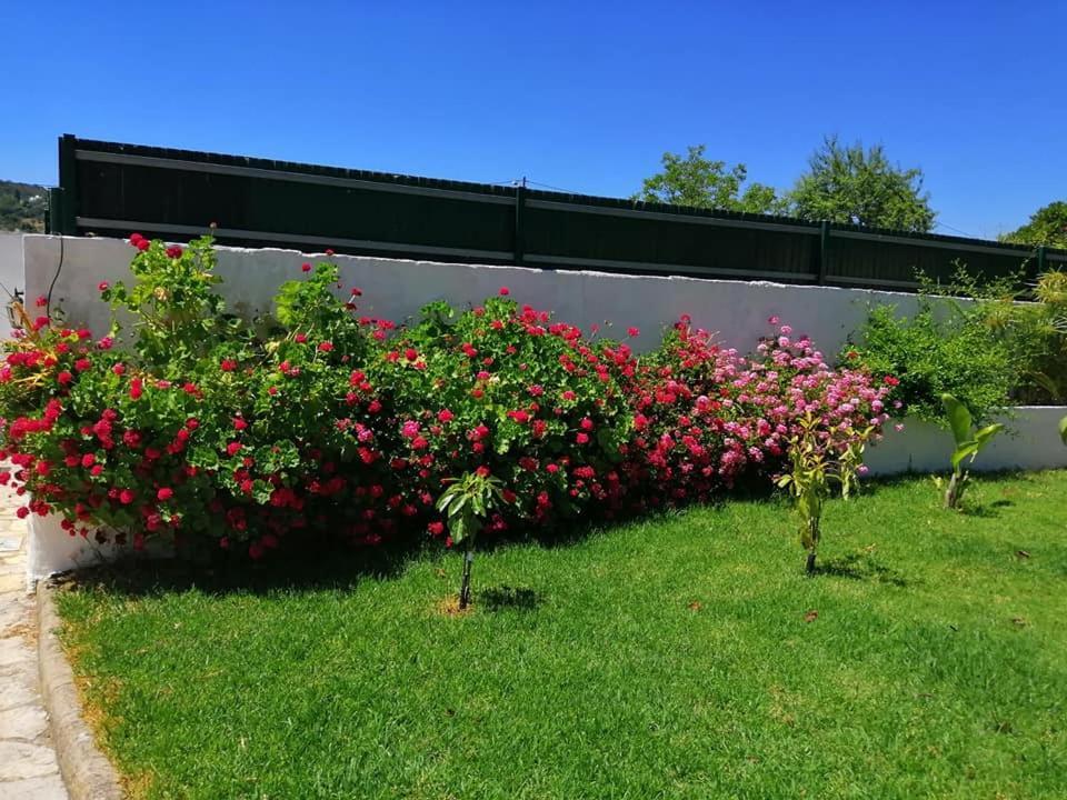 Casa Mimosa Bed and Breakfast São Brás de Alportel Buitenkant foto