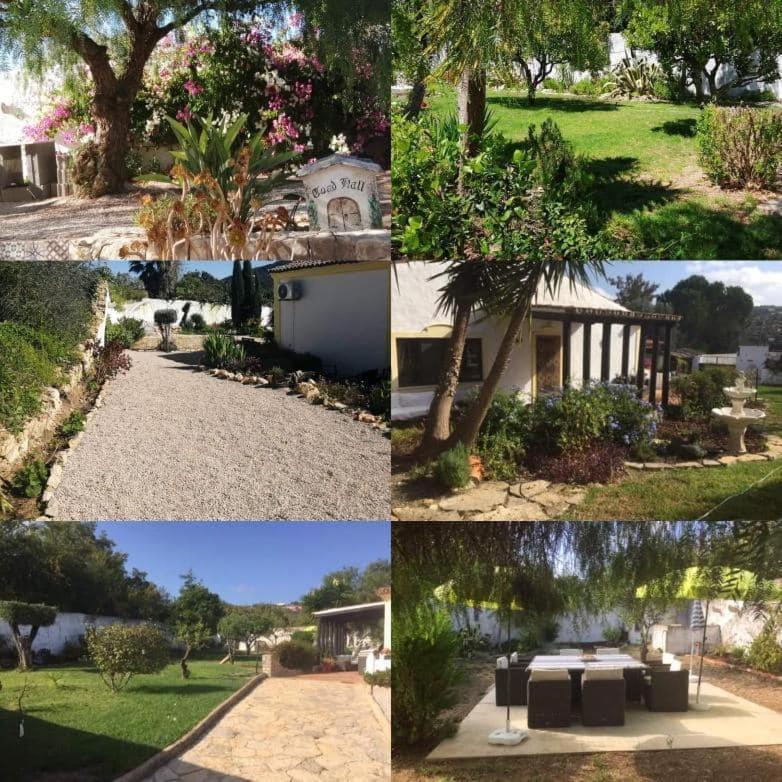 Casa Mimosa Bed and Breakfast São Brás de Alportel Buitenkant foto